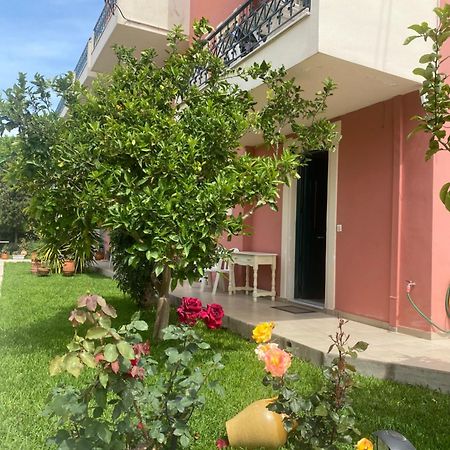 Lividio Apartment Lefkáda 外观 照片