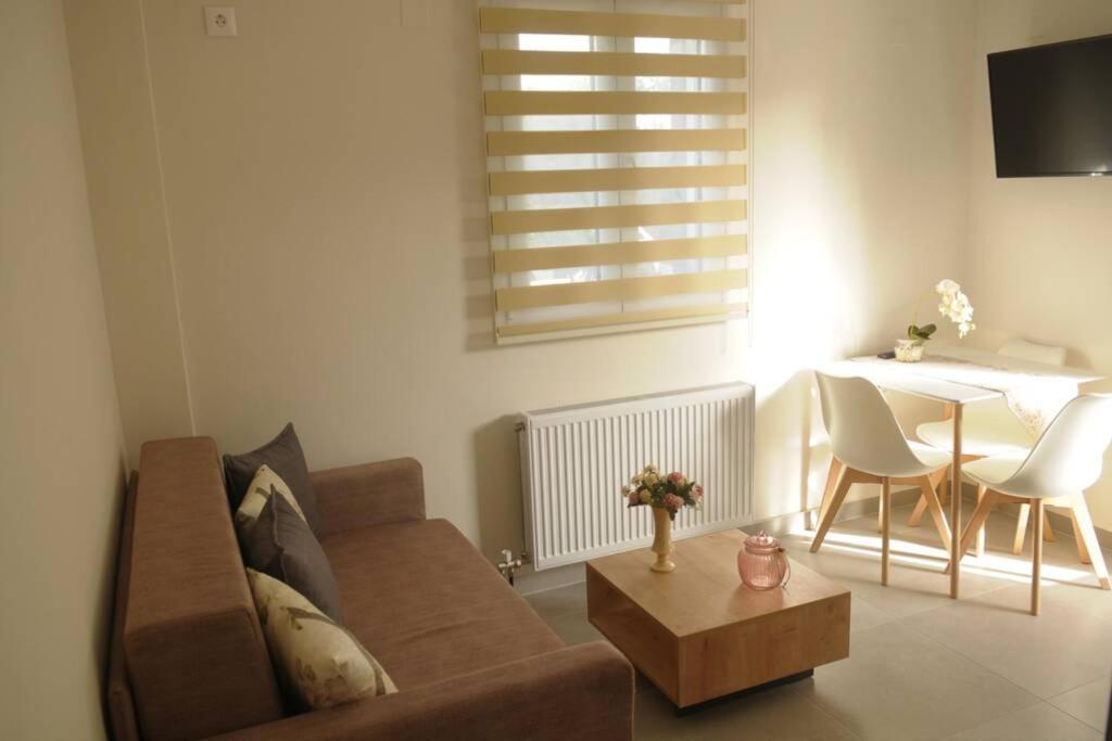 Lividio Apartment Lefkáda 外观 照片