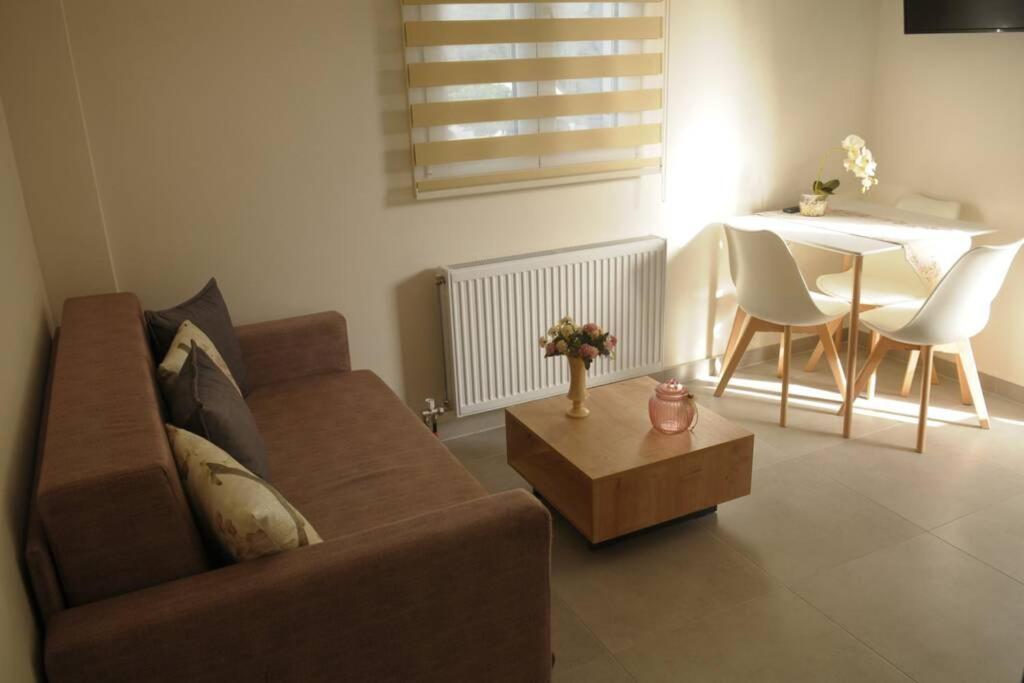 Lividio Apartment Lefkáda 外观 照片